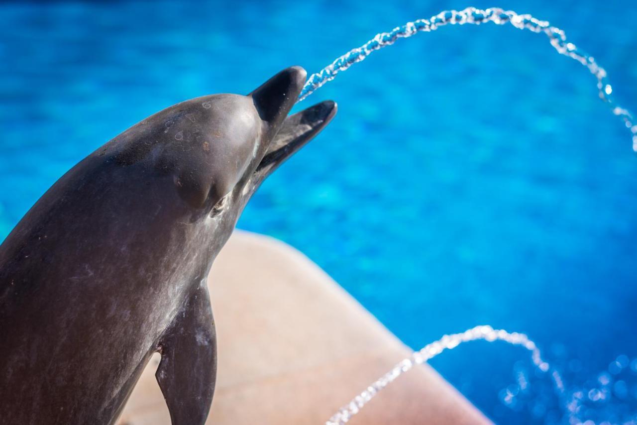 Villa El Ancla Sayalonga エクステリア 写真